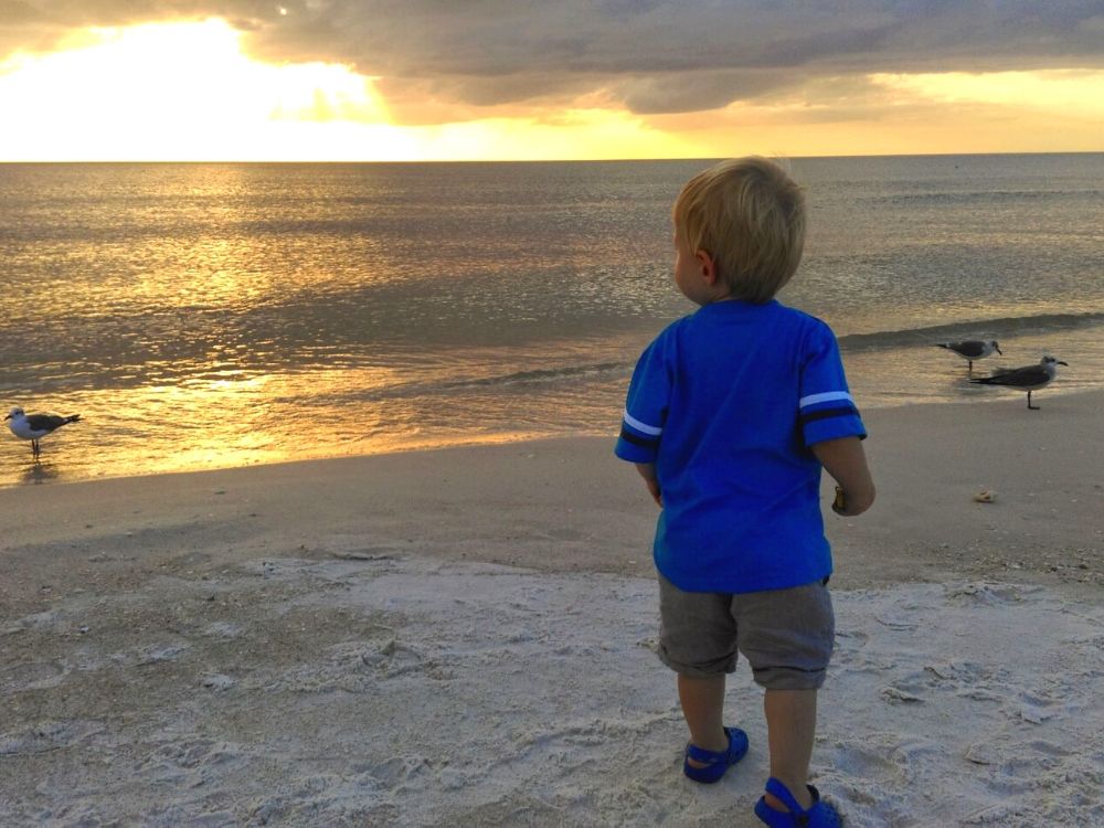 anna maria island beach florida