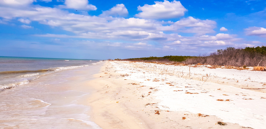 best beach florida honeymoon island