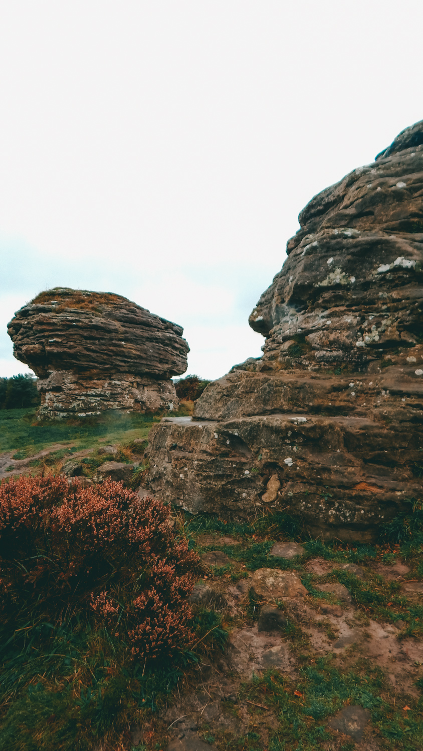 bridestones in dalby forest walk