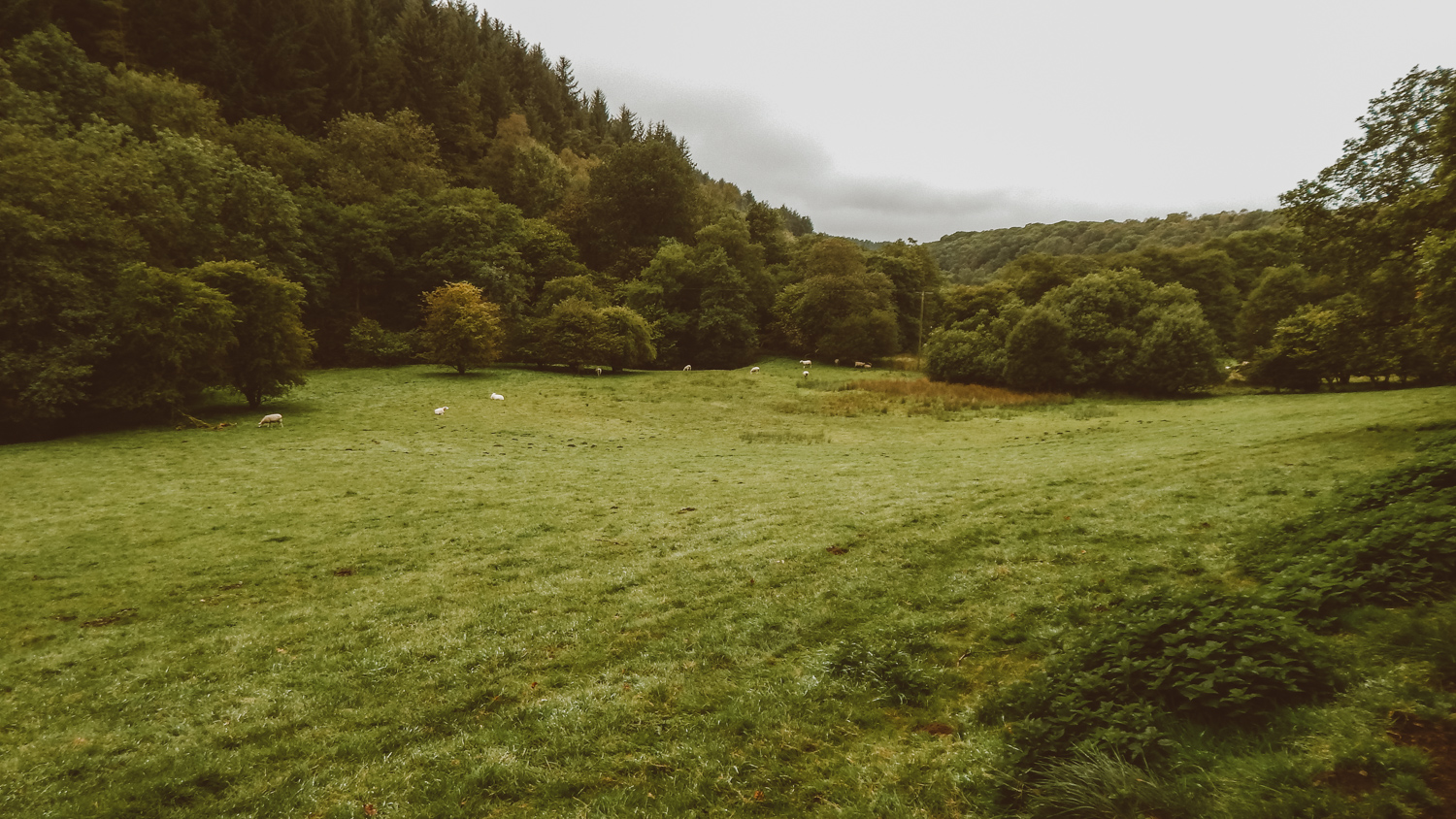 bridestones in dalby forest walk
