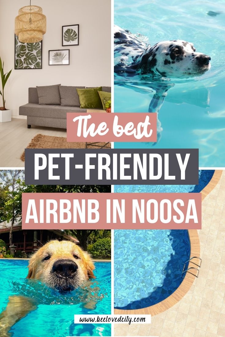 12 Best PetFriendly Airbnb in Noosa, Queensland BeeLoved City