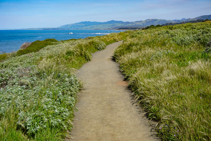 Things to do in Cambria California