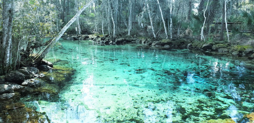 Crystal River Three Sisters Spring in Florida