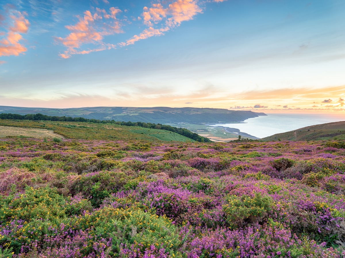10 Beautiful Places in Devon You Must Visit At Least Once in Your Life