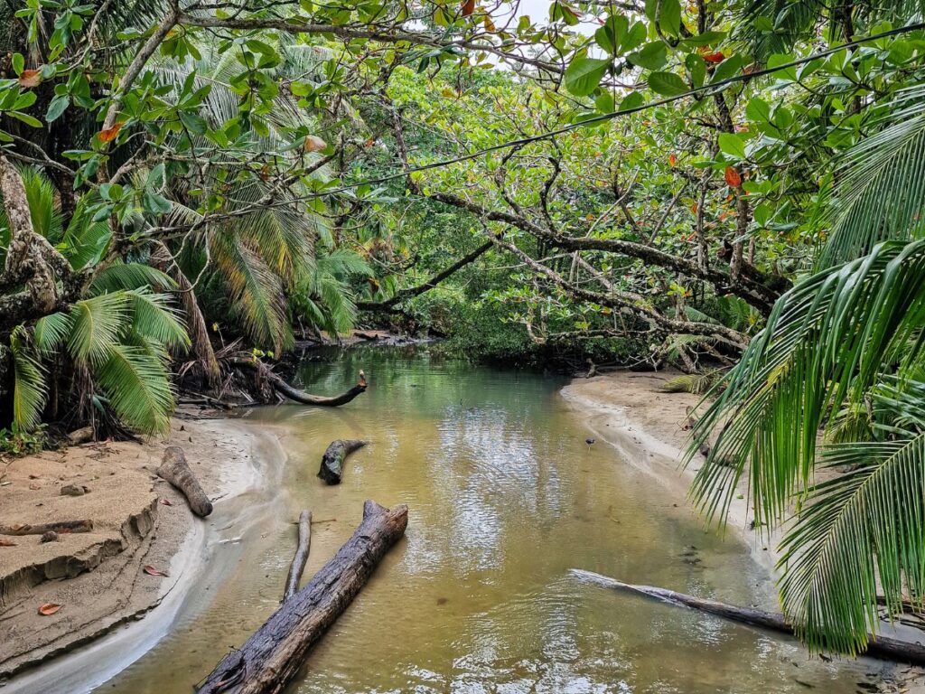 entrance of cahuita national park