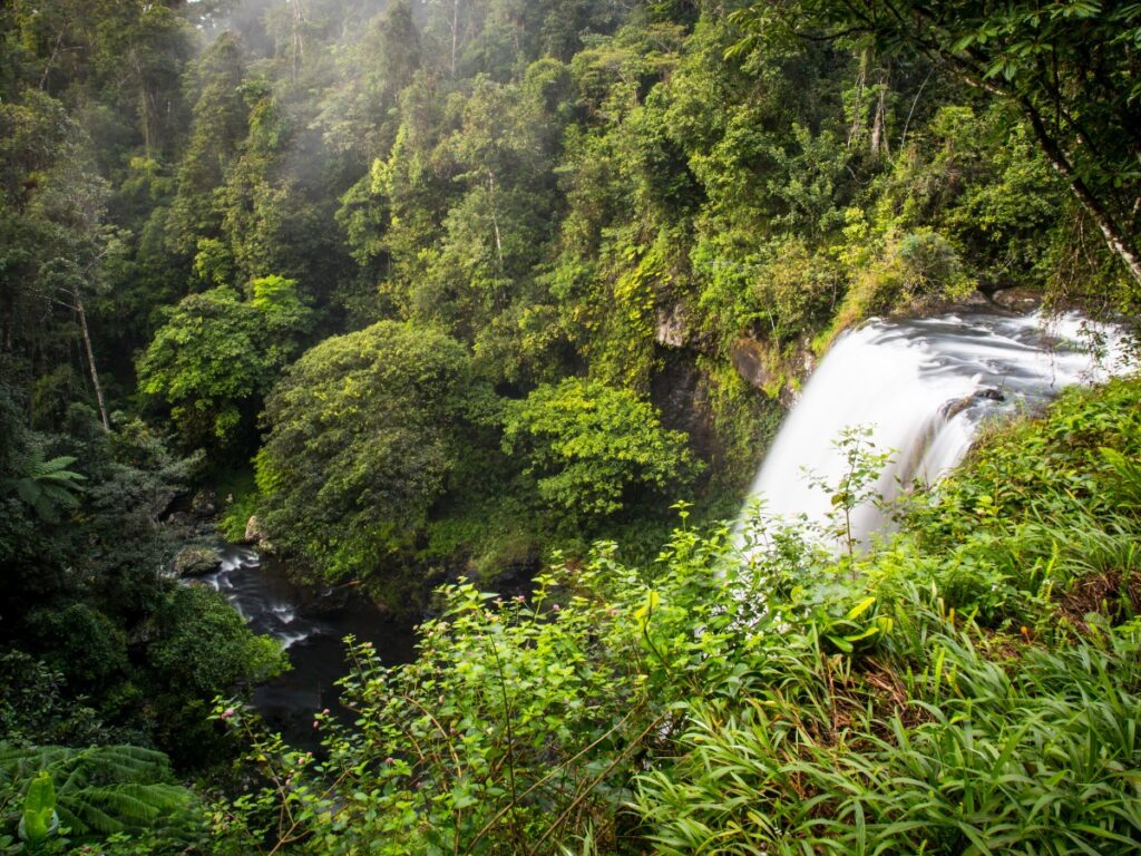 Zillie Falls near Cairns