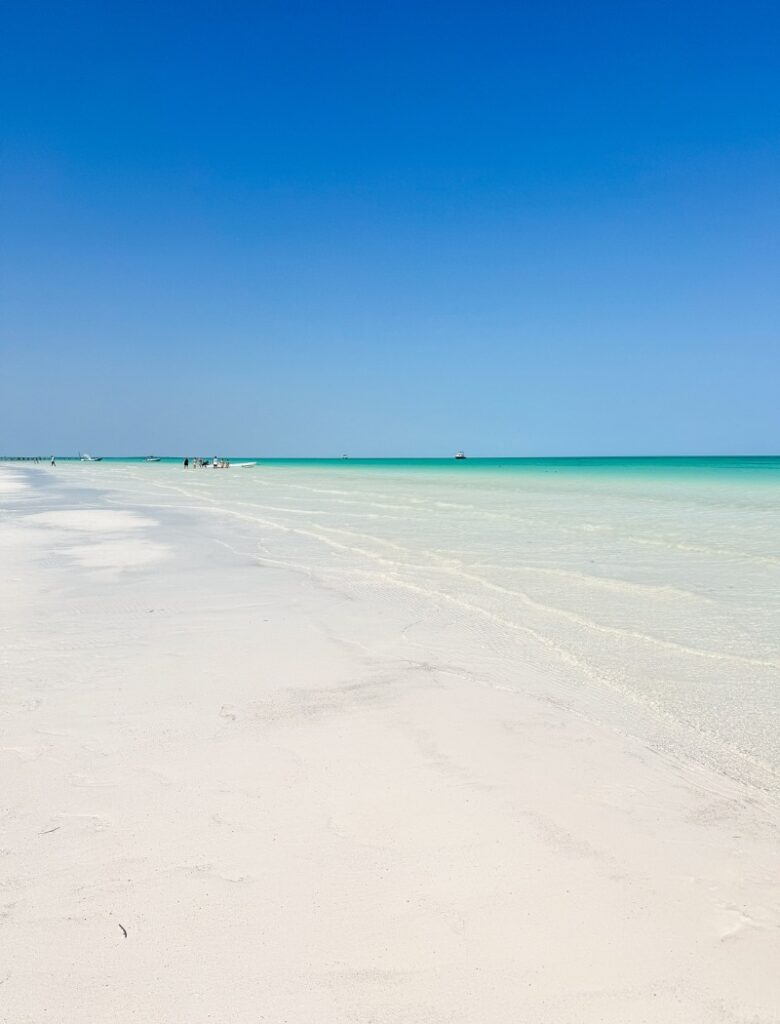 beach in isla Holbox