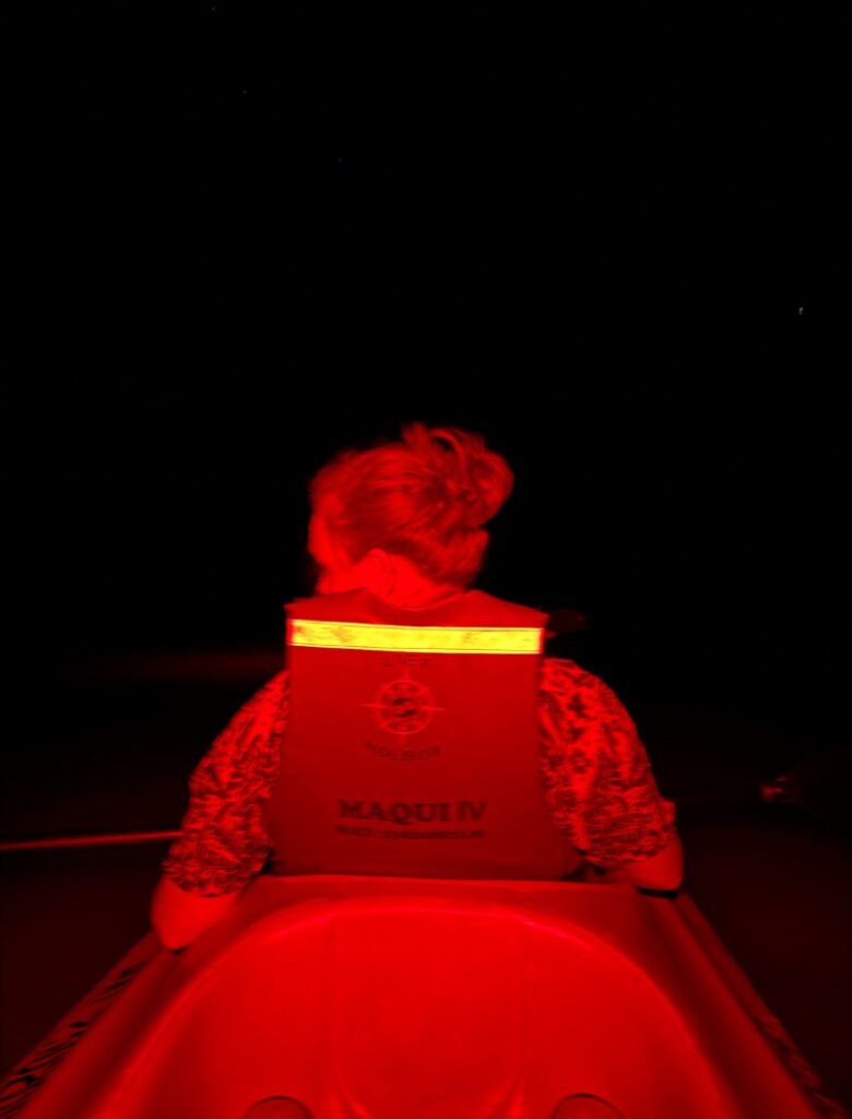 biolumenesnce kayaking in holbox