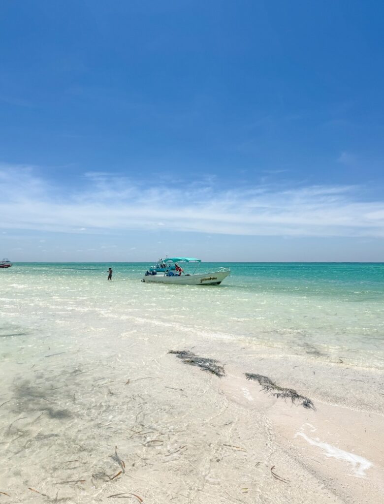 bird island in holbox
