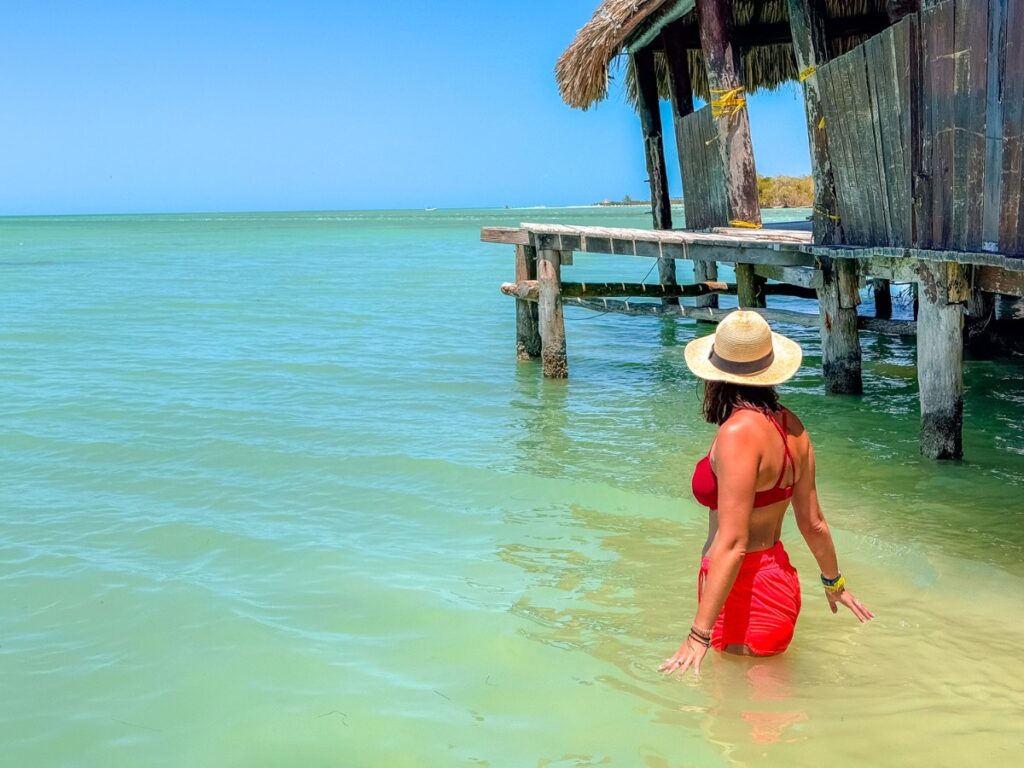 bird island near Holbox