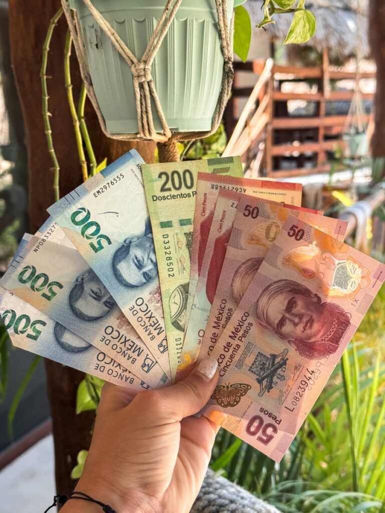 cash in holbox