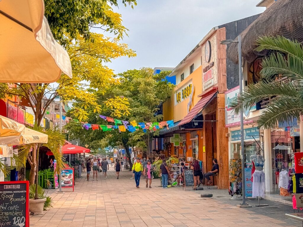 playa del carmen quinta avenida