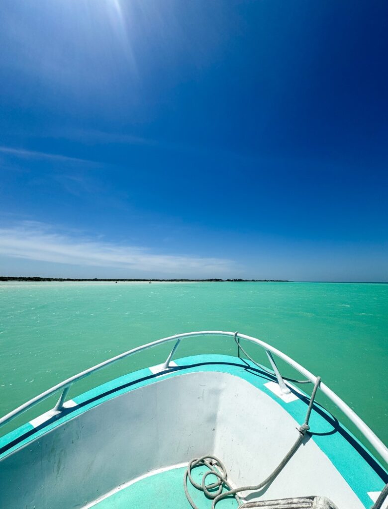 punta mosquito from the boat in holbox