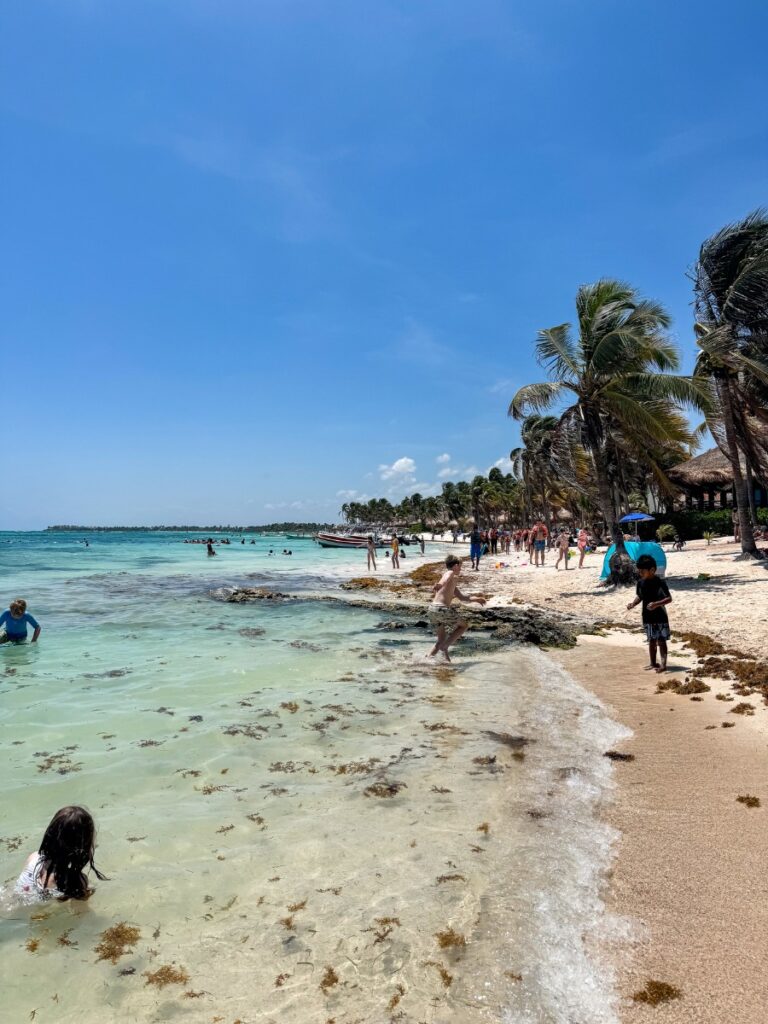 swimming in akumal beach in mexico