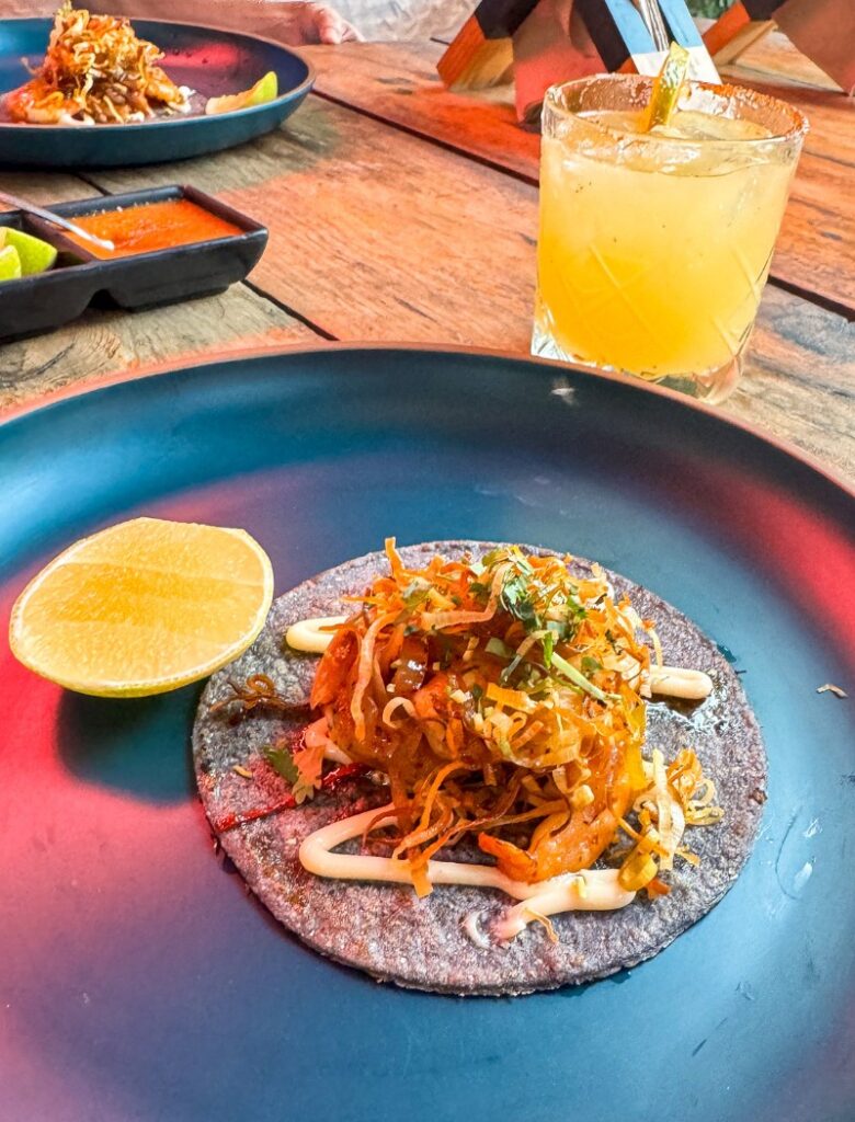 taco at barba in holbox