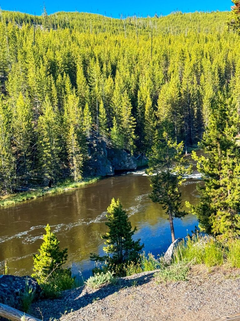 firehole river yellowstone