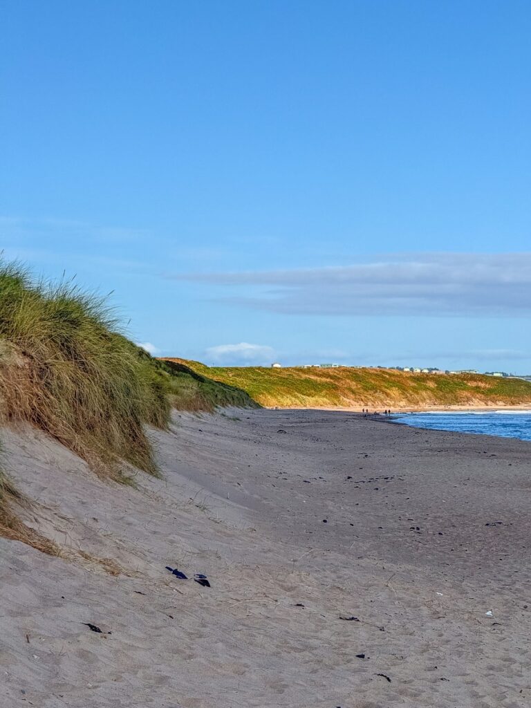 Warkworth beach