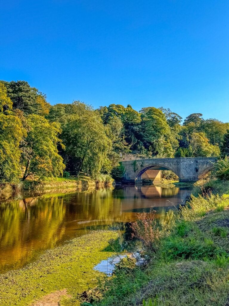 Warkworth river walk