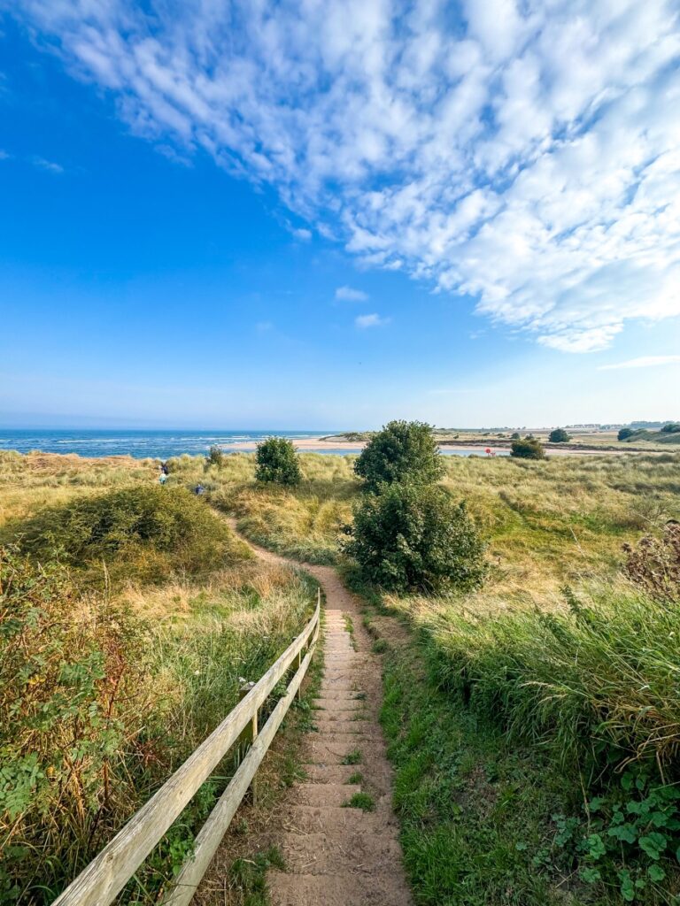 alnmouth