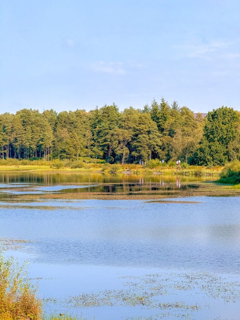 cragside lake in northumberland