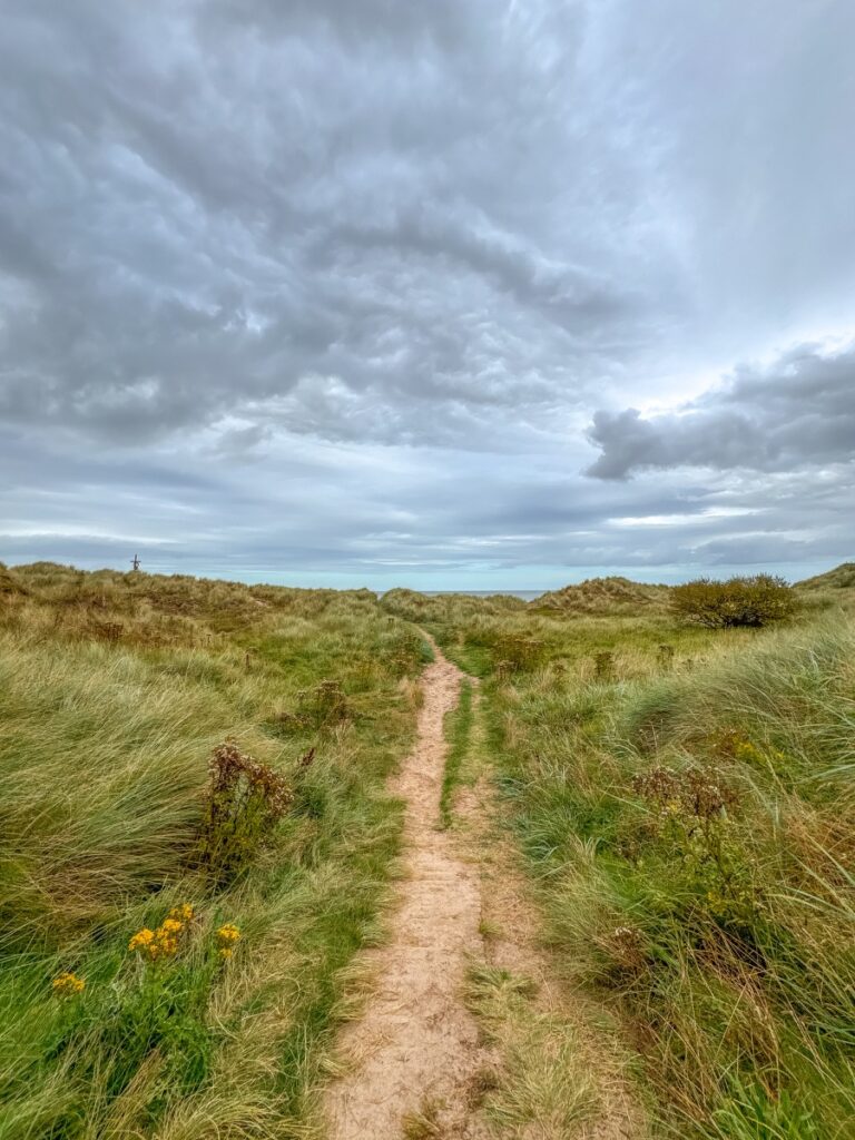 dunes seahouses