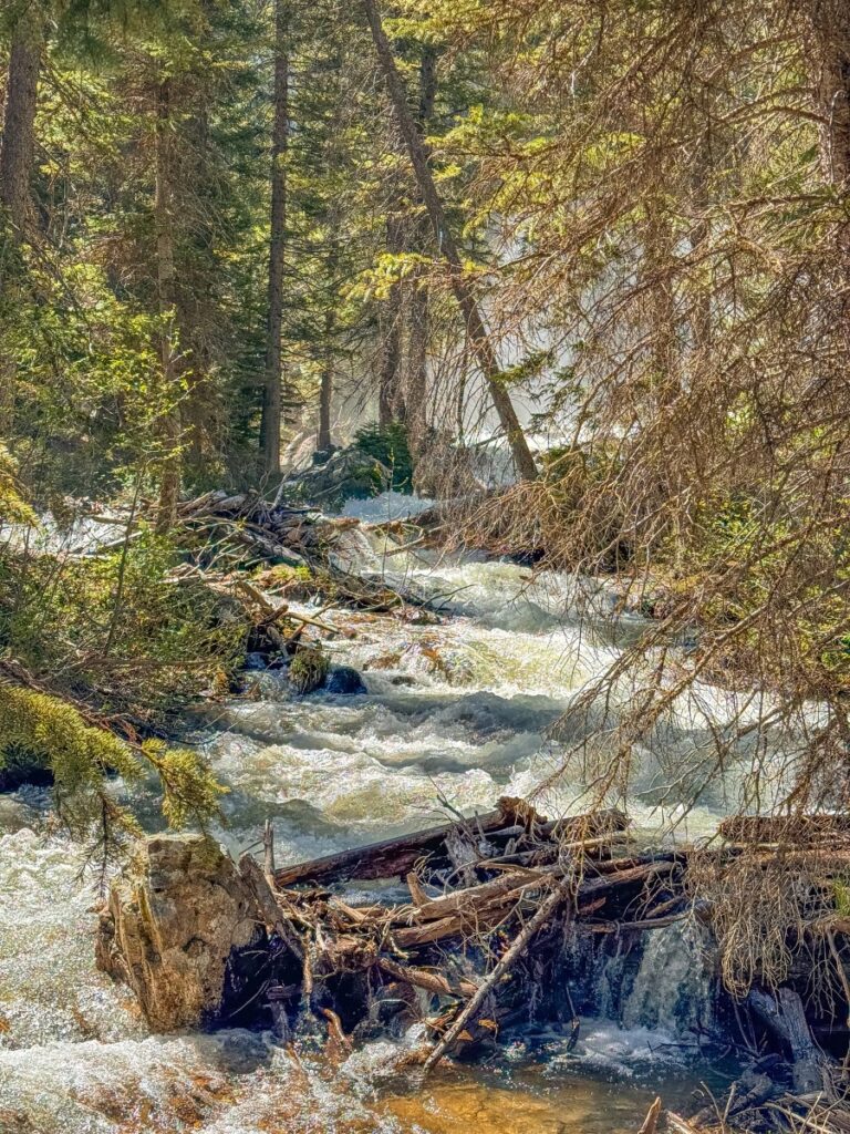 hike in grand teton np