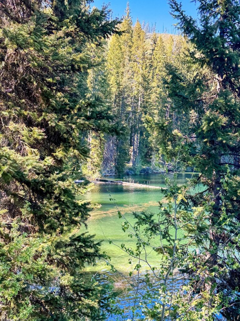 jenny lake wyoming