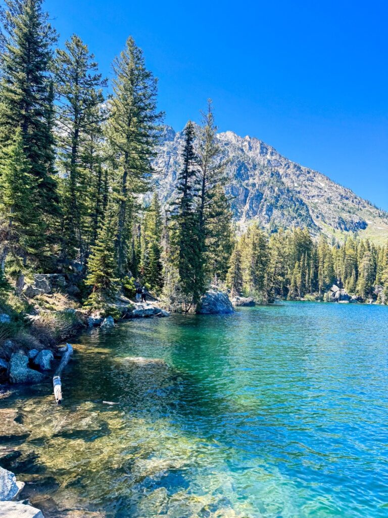 jenny lake grand teton np