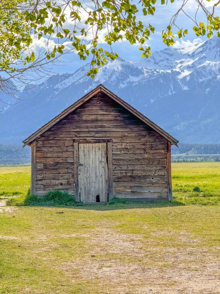 mormon row grand teton np