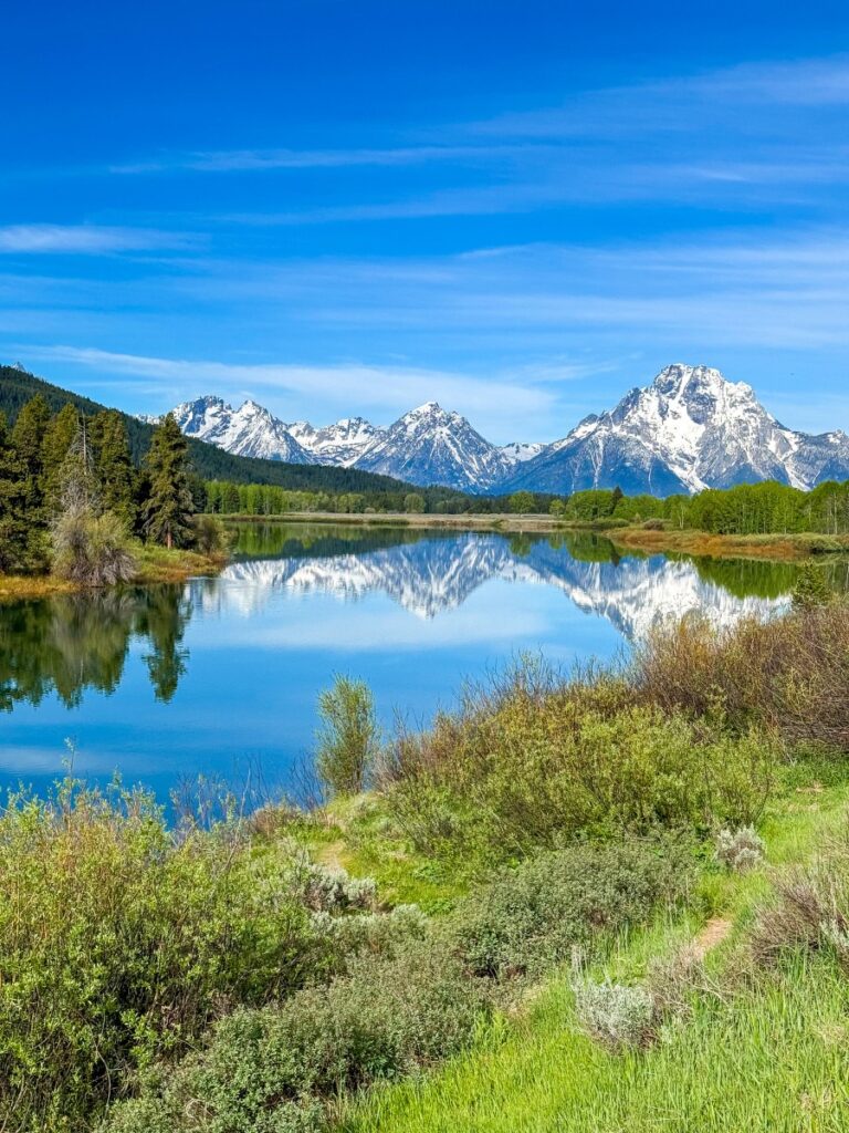 oxbow bend grand teton np
