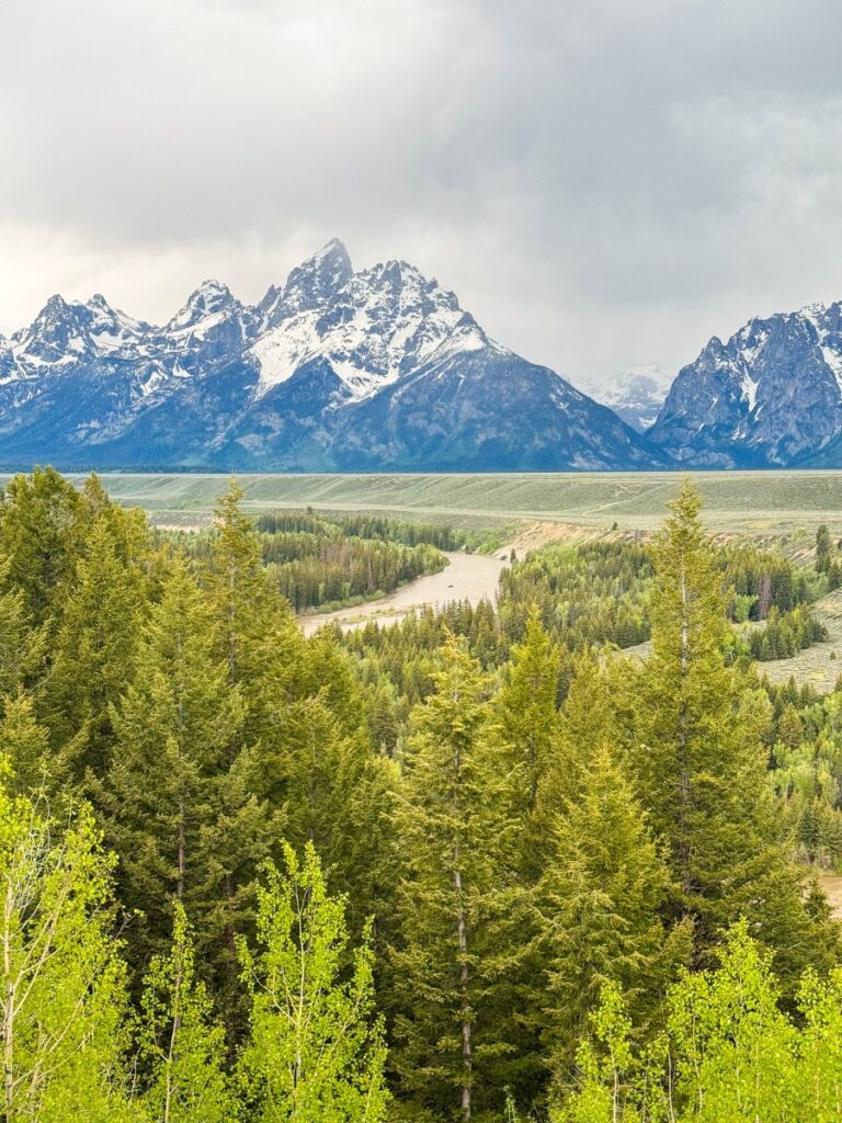 snake river in grand teton