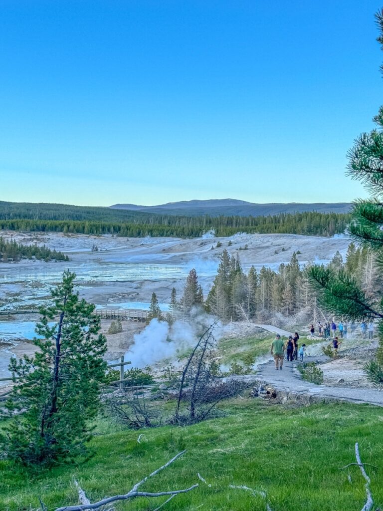 Norris geyser in Yellowstone