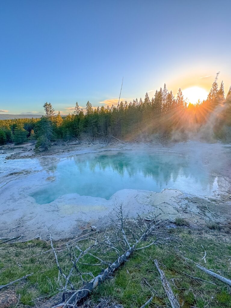 Norris geyser in Yellowstone