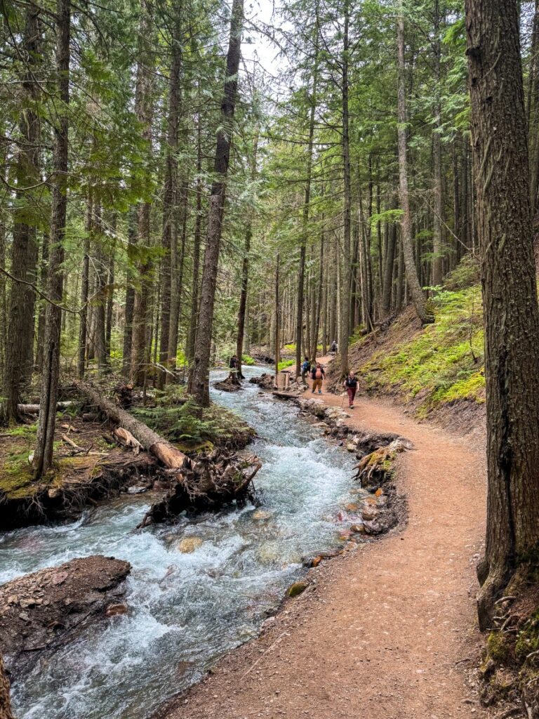 Trail of Cedars in Glacier National Park