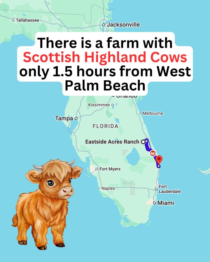 Eastside Acres Ranch in florida