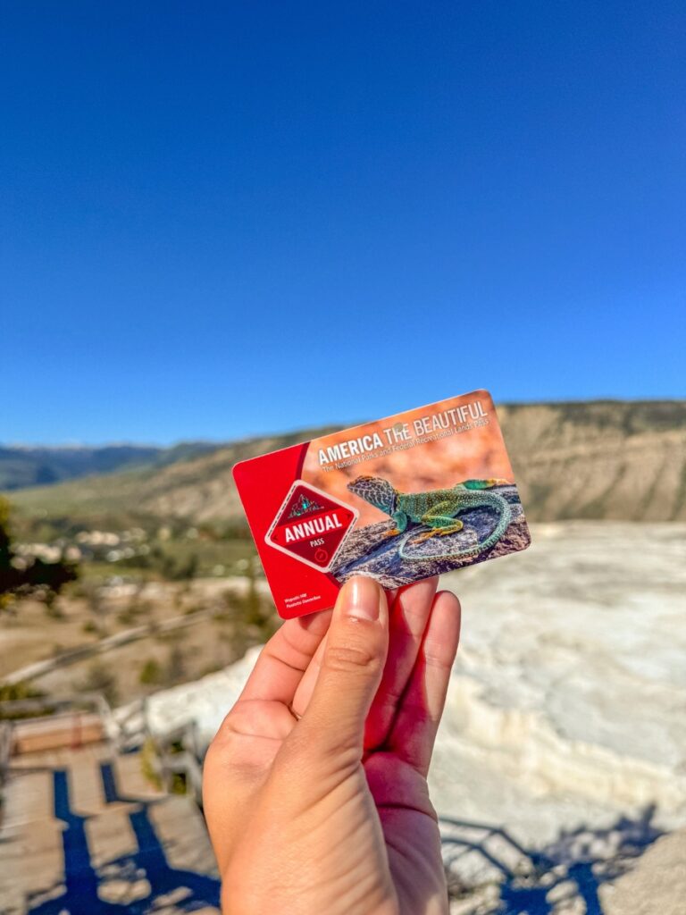 america the beautiful pass