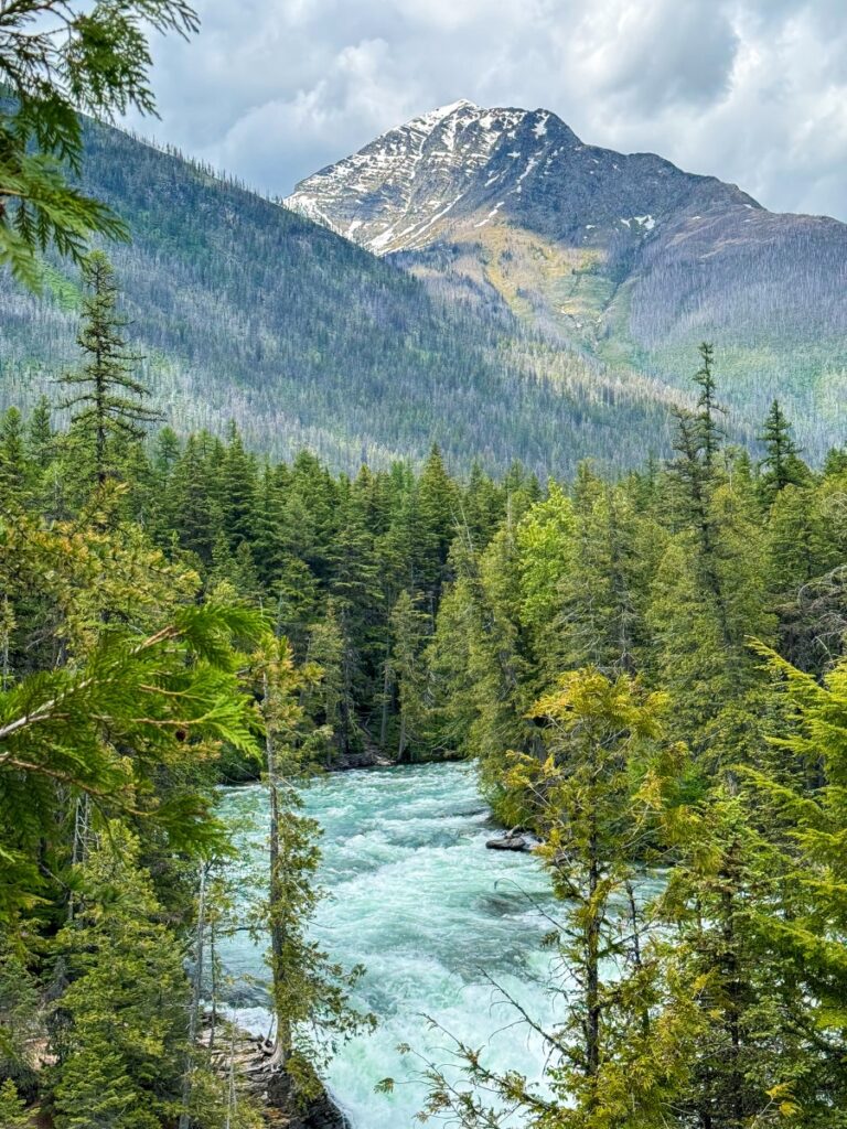 going to the sun road in glacier national park