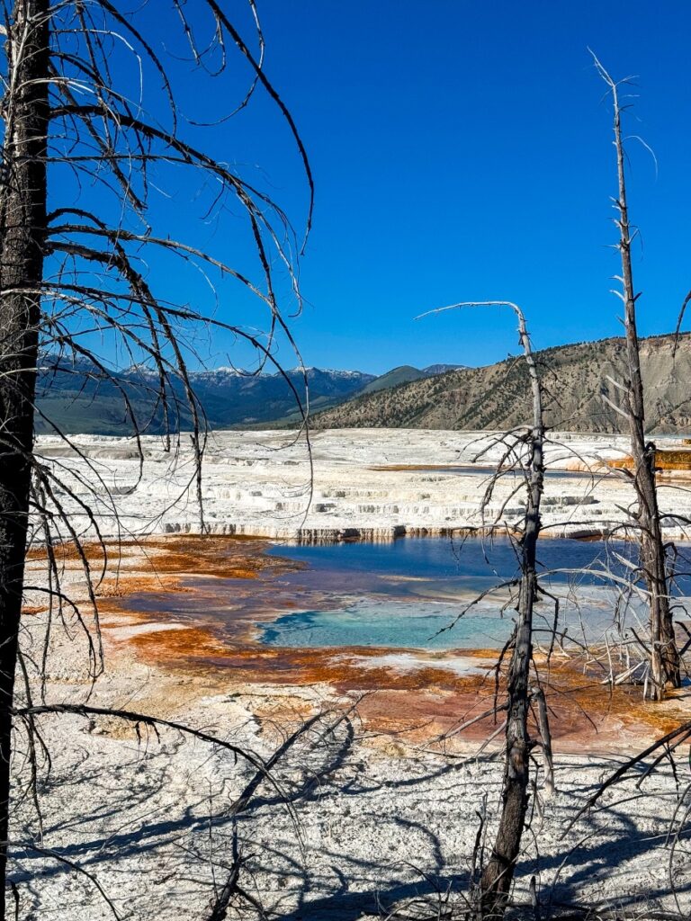 mammoth terrace