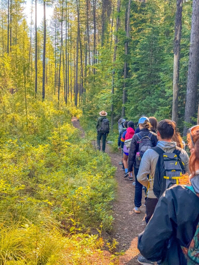 park ranger guided walk in glacier national park