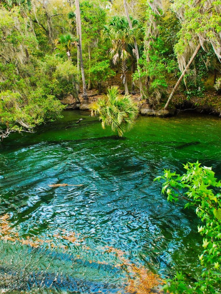 Blue hole in Ichetucknee Spring