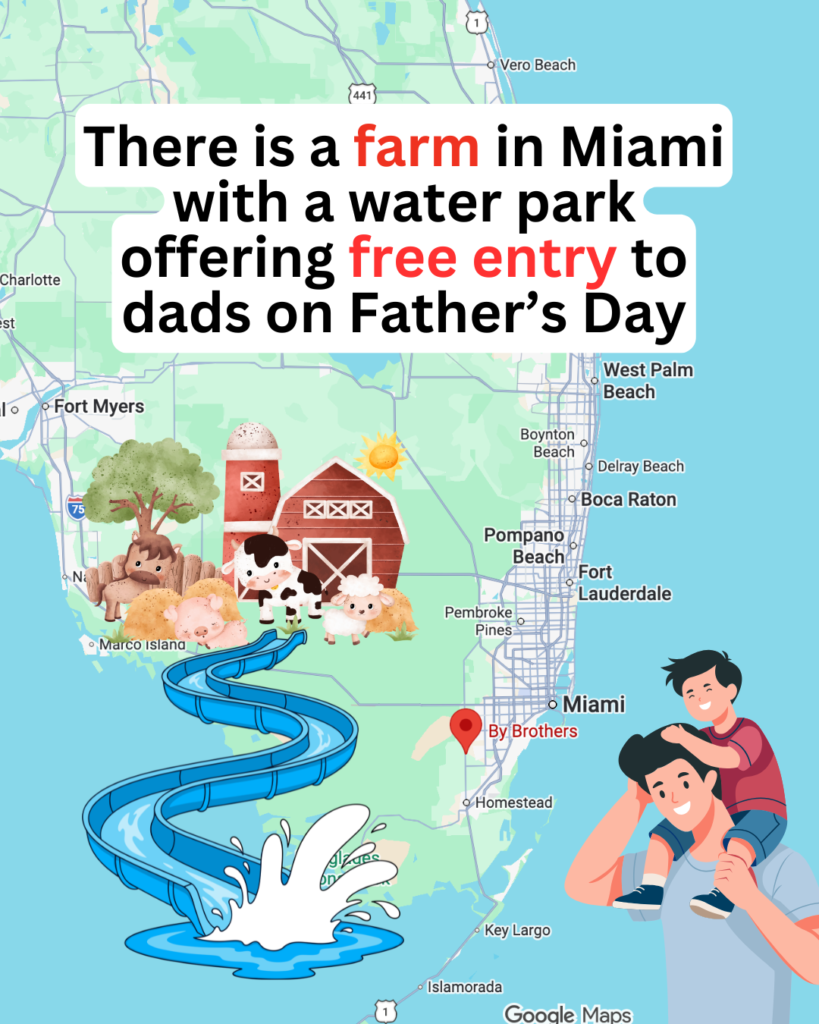 By Brothers Florida Fathers day