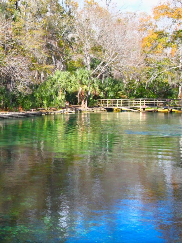 Wekiwa Springs