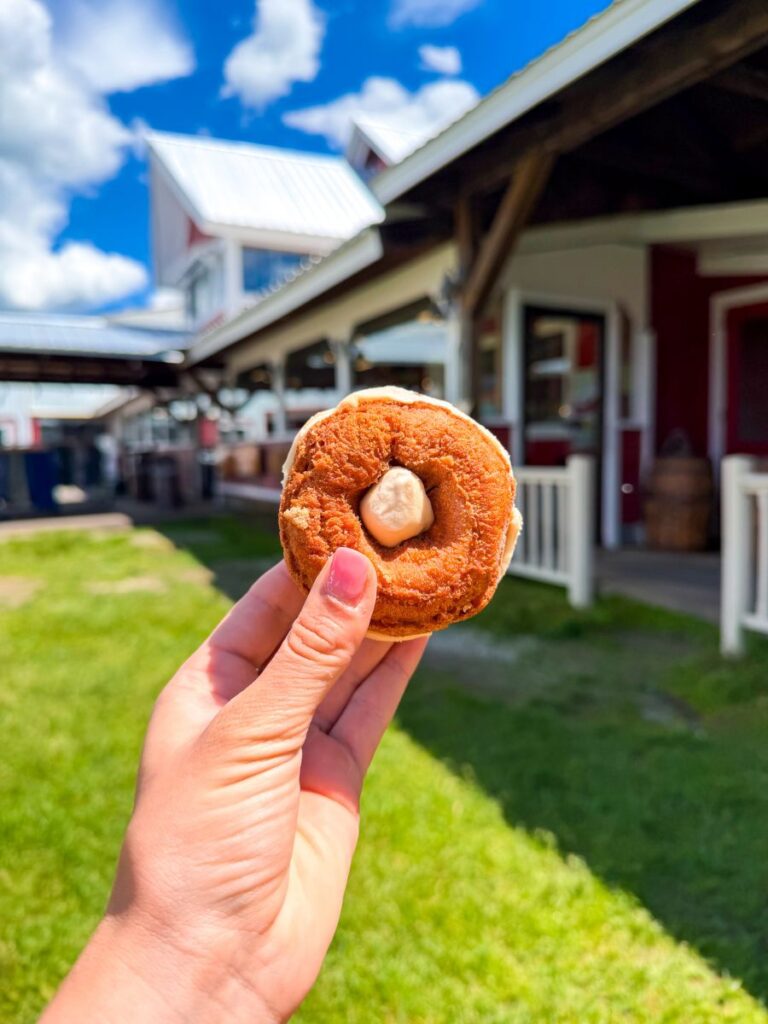 Cold Hollow Cider Mill