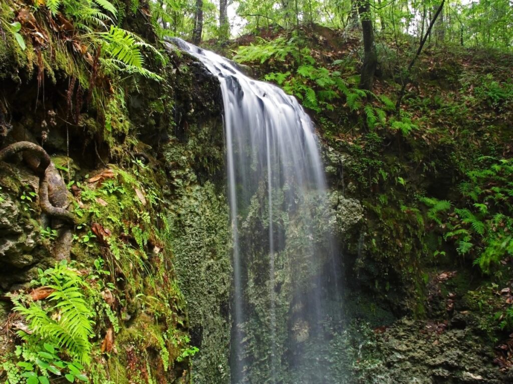 Falling Falls in Florida