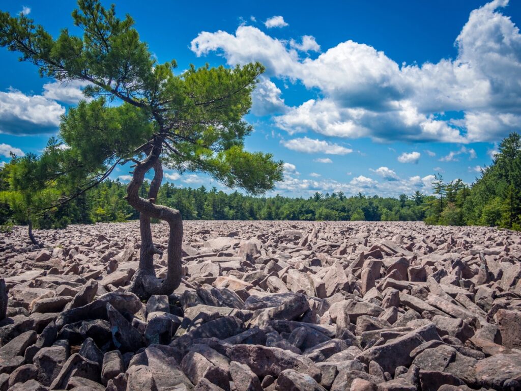 Hickory Run State Park