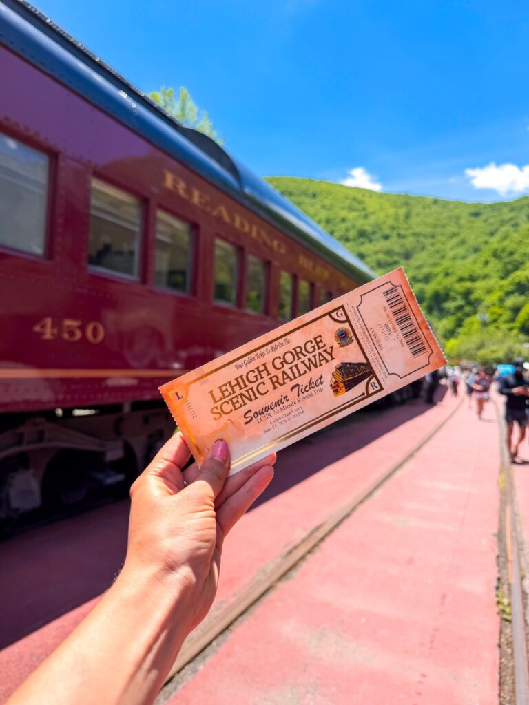 Lehigh gorge train