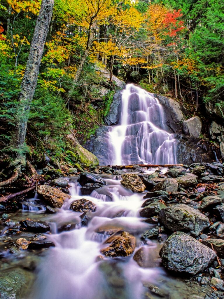 Moss Glen Granville