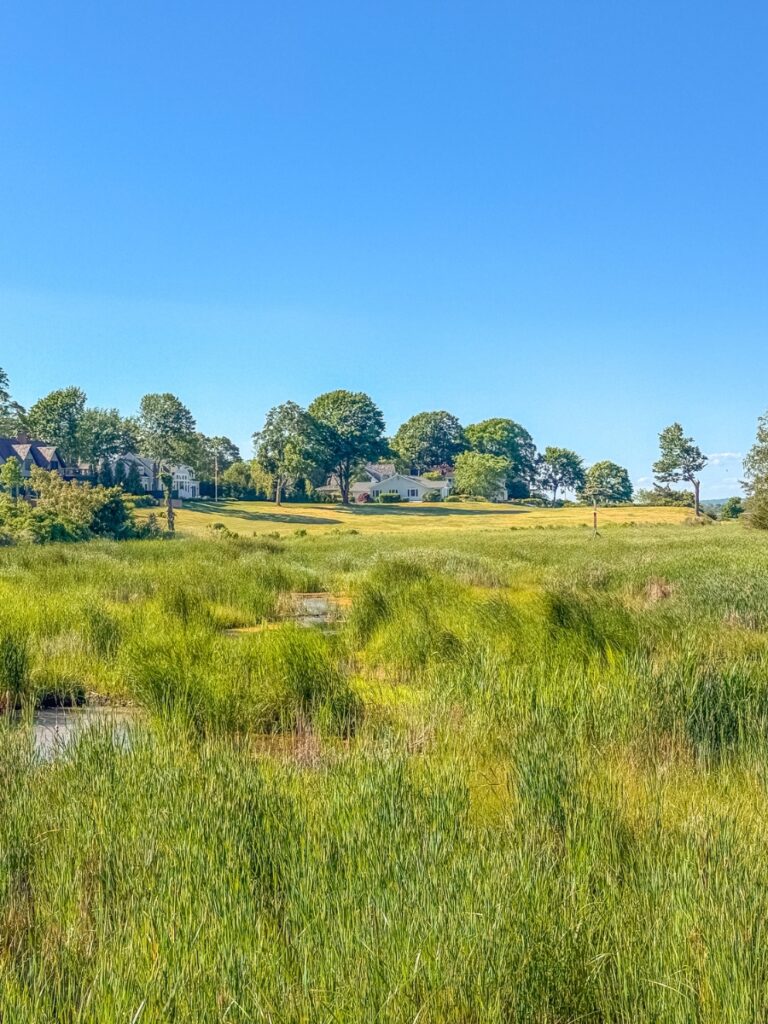 Old saybrook in CT