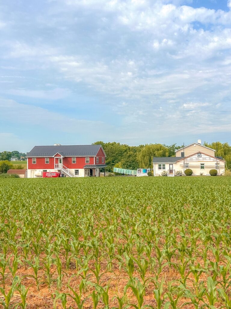 Strasburg in PA