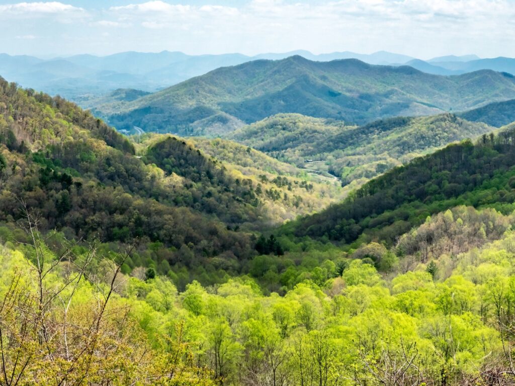Views from Mount Pisgah